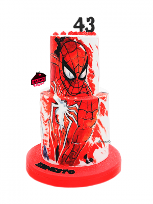 Pastel Spiderman - Paint