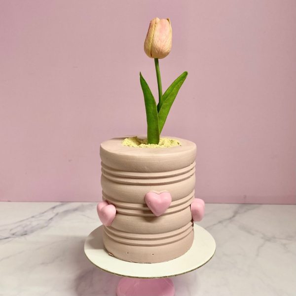 Pastel Maceta